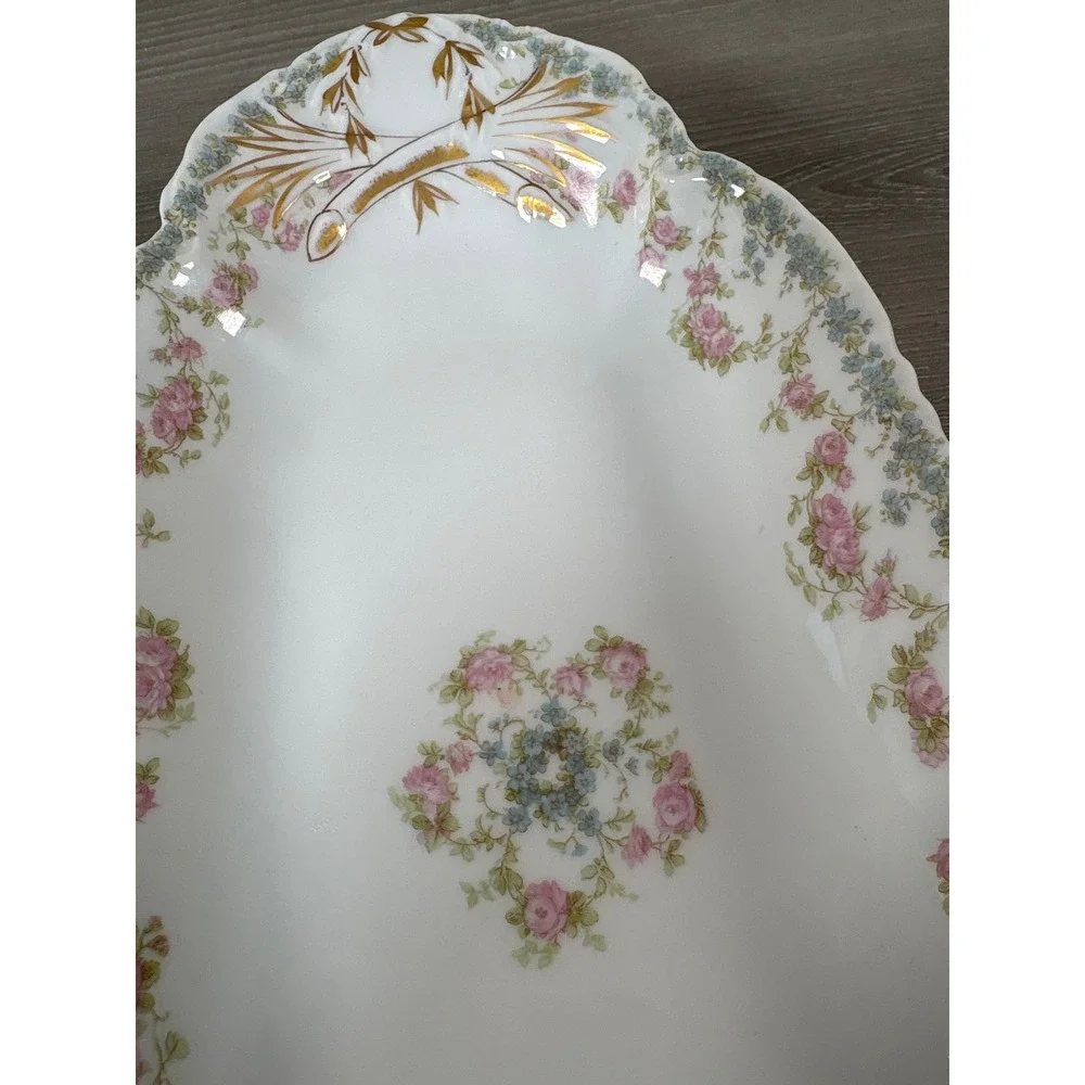 Haviland Limoges France Celery Tray Gimbel Bros Milwaukee Floral Gold Gilt 12in